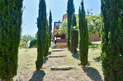 13-5fd73dea700db77384c091ca9818b1a9