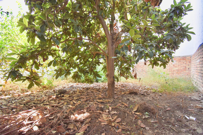 Image No.2-Plot for sale