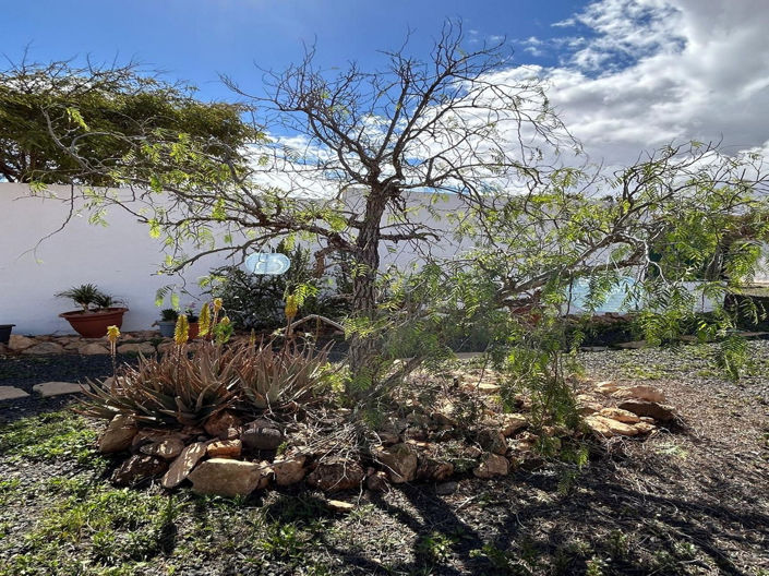 Image No.39-2 Bed House for sale