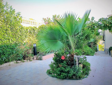 10-bb915d1cb19341576dcdc994b81ab9c5