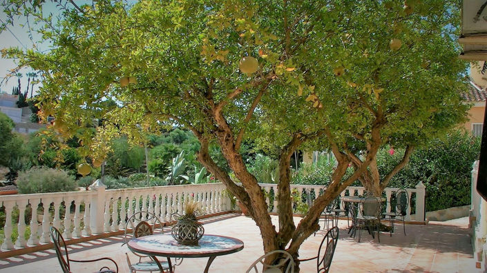 Image No.8-8 Bed House for sale