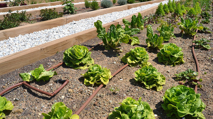 Image No.44-2 Bed Property for sale