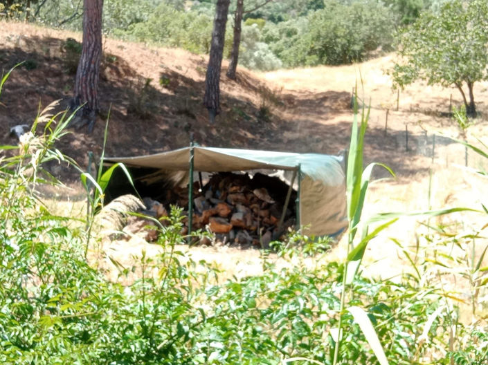 Image No.22-4 Bed House for sale