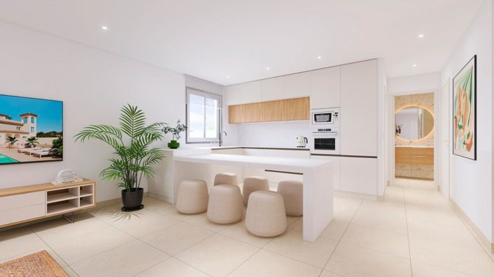 Image No.7-4 Bed Quad for sale