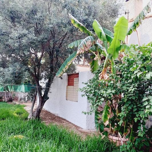 Image No.31-4 Bed Villa for sale