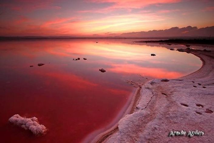 Image No.47-2 Bed Duplex for sale