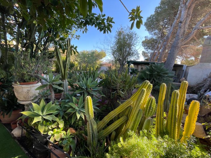 Image No.7-5 Bed Villa for sale