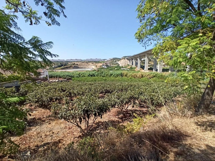 Image No.1-3 Bed Villa for sale