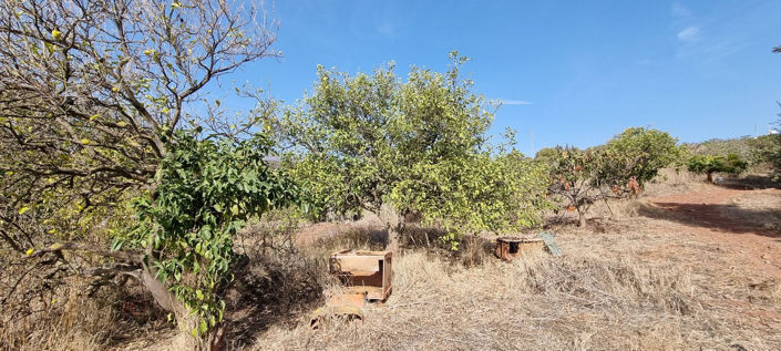 Image No.10-2 Bed Villa for sale