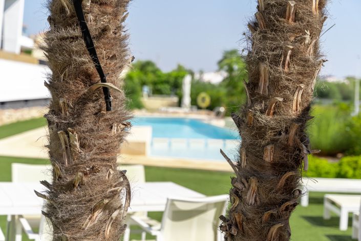 Image No.45-3 Bed Penthouse for sale