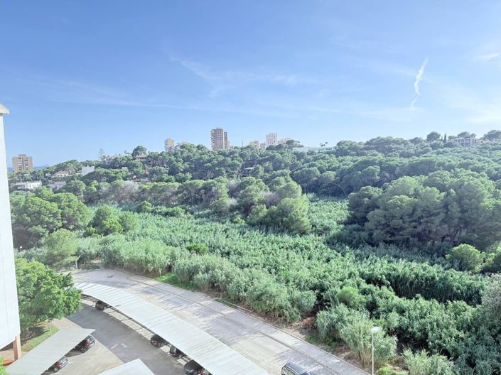 Image No.15-3 Bed Apartment for sale