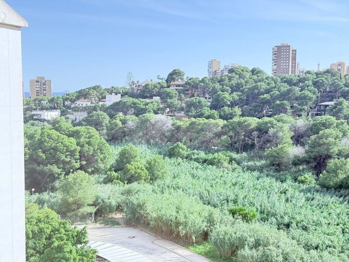 Image No.25-3 Bed Apartment for sale