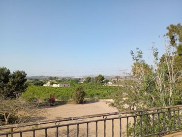 1918-for-sale-in-daya-nueva-14952354-large