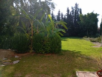 1918-for-sale-in-daya-nueva-14952322-large