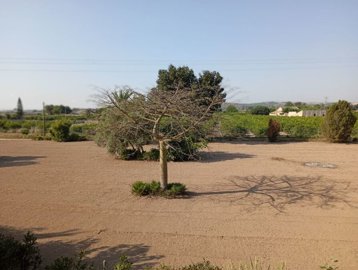 1918-for-sale-in-daya-nueva-14952327-large