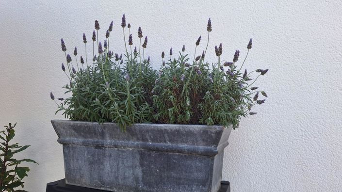 Image No.35-4 Bed Villa for sale