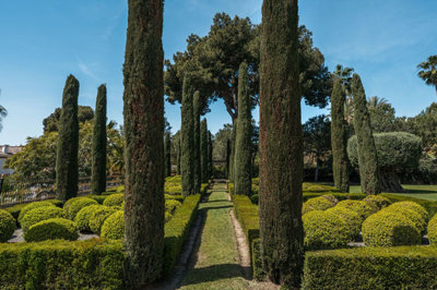 12-53013098fcab6c38b1379cd33298e050