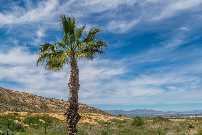 Image No.27-Appartement de 3 chambres à vendre à Algorfa
