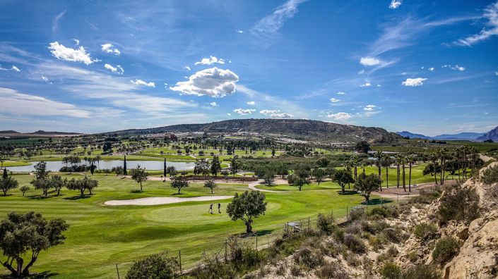 Image No.3-Appartement de 3 chambres à vendre à Algorfa