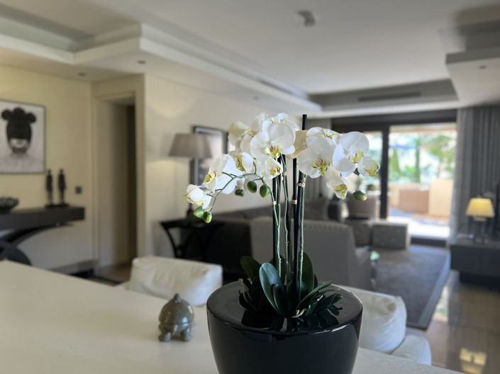 Image No.3-1 Bed Apartment for sale