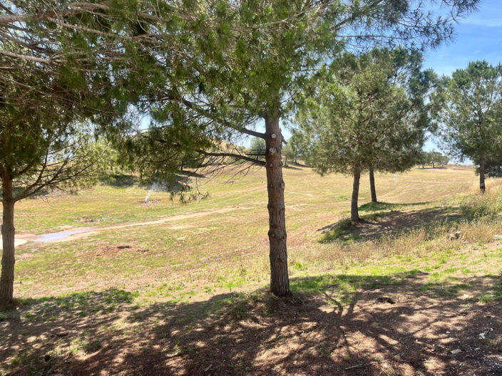 Image No.31-2 Bed Villa for sale