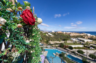 4-c23c0f86247804fa50226aecd8b0b2c8