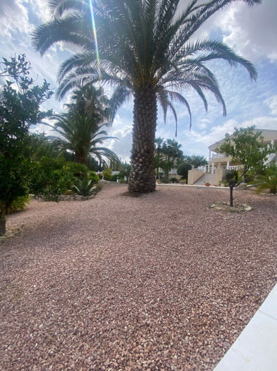 Image No.9-3 Bed Villa for sale