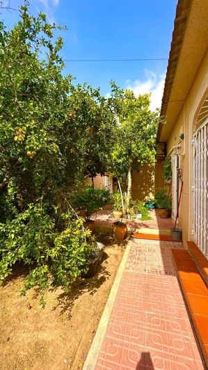 Image No.6-3 Bed Villa for sale