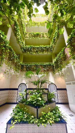 Image No.1-1 Bed Penthouse for sale