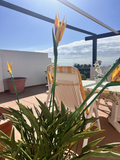 Image No.18-2 Bed Penthouse for sale