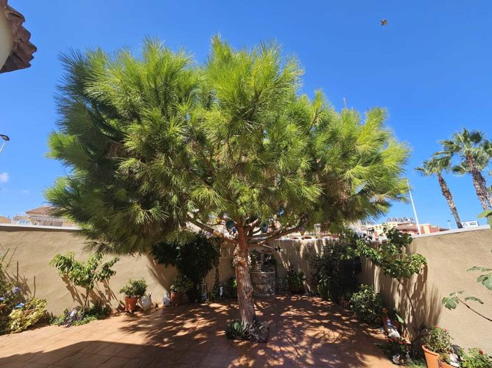 Image No.25-3 Bed Villa for sale