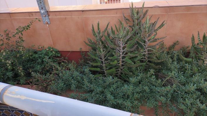 Image No.15-2 Bed Apartment for sale