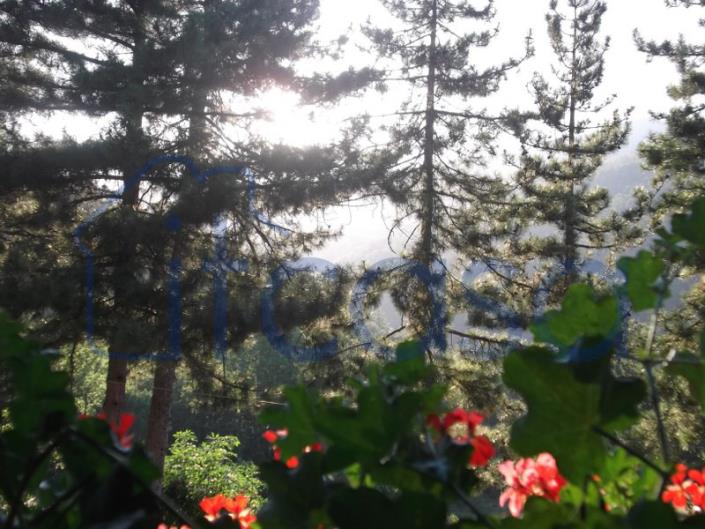 Image No.13-3 Bed Farmhouse for sale