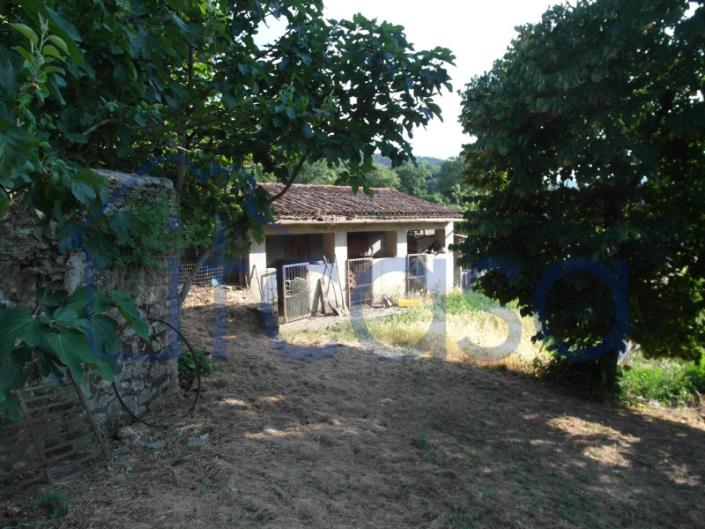 Image No.4-4 Bed Farmhouse for sale