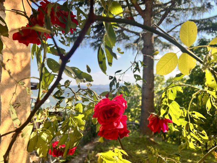 Image No.2-4 Bed Villa for sale