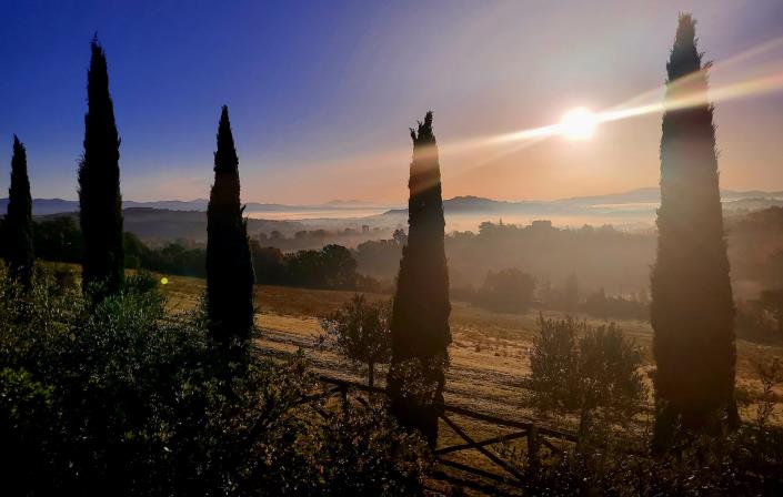 Image No.36-9 Bed Country Property for sale