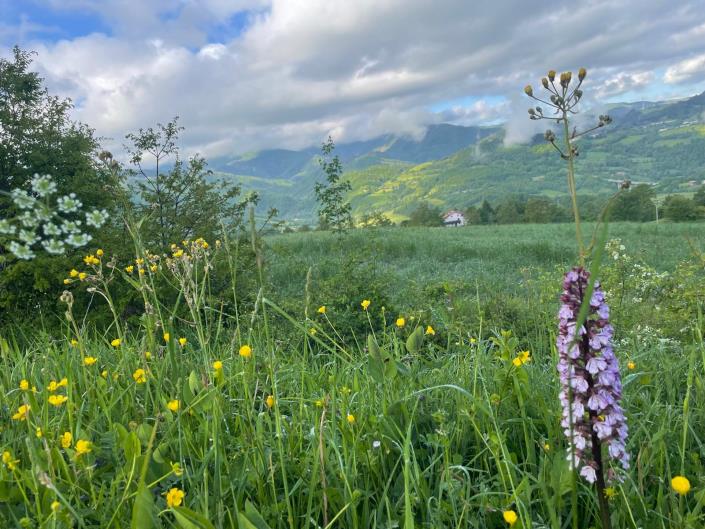 Image No.25-1 Bed Semi-Detached for sale