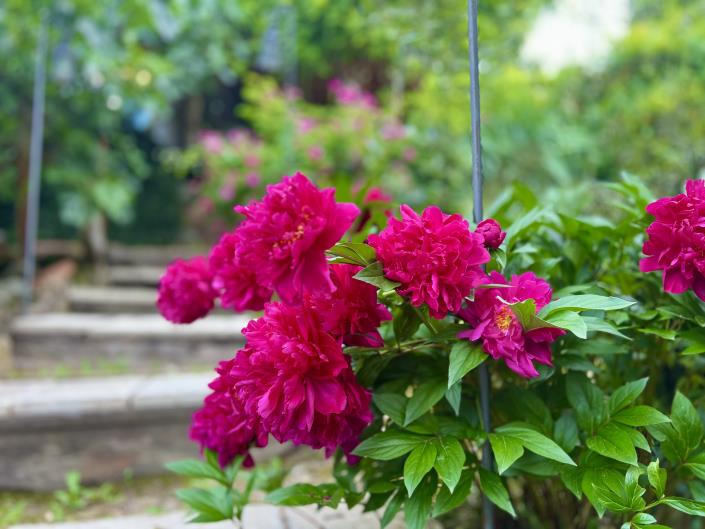 Image No.31-2 Bed Country House for sale