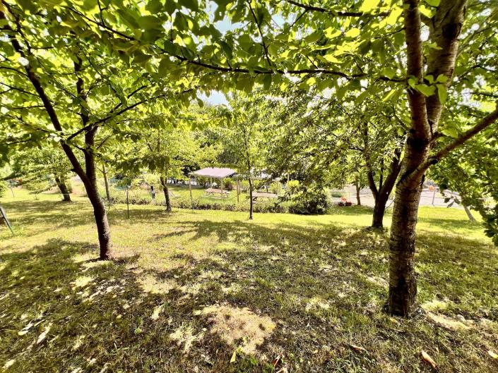 Image No.19-2 Bed Apartment for sale