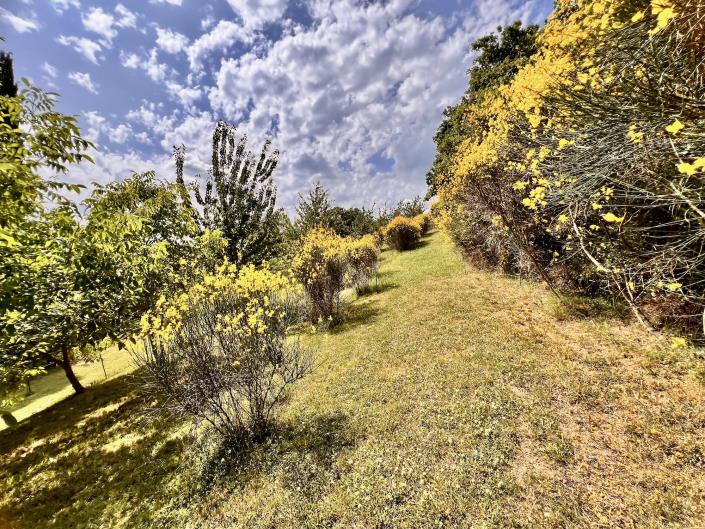 Image No.18-2 Bed Apartment for sale