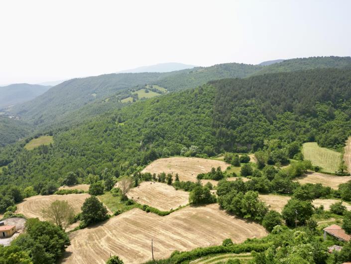 Image No.39-3 Bed Country Property for sale