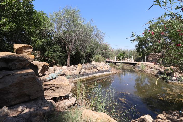 Image No.41-7 Bed Country Property for sale