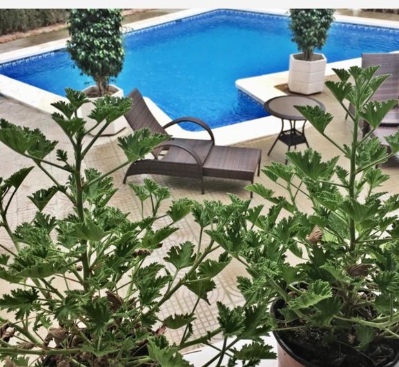 Image No.24-5 Bed Villa for sale