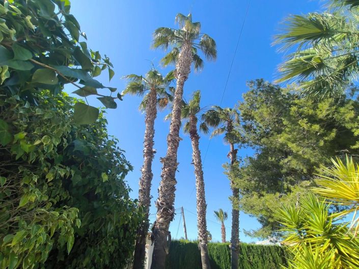 Image No.6-4 Bed Villa for sale