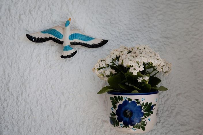 Image No.11-1 Bed Bungalow for sale