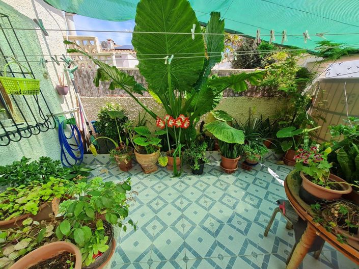 Image No.3-2 Bed House for sale