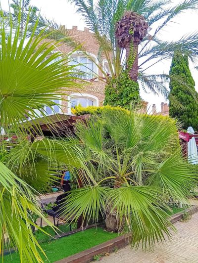 Image No.11-2 Bed Bungalow for sale