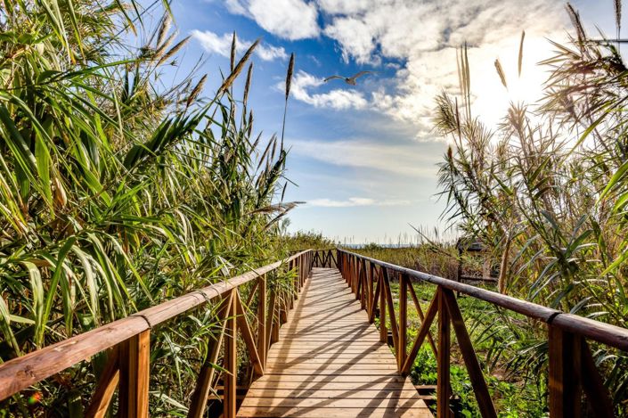 Image No.31-2 Bed Apartment for sale