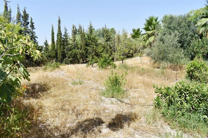 Image No.11-4 Bed Property for sale