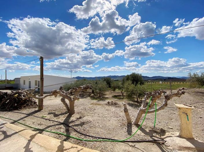 Image No.29-3 Bed Property for sale